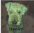 Steeler Jenco 